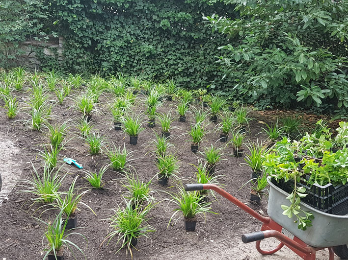 gartenbau 1